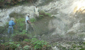 Men working