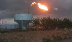 Oil Flame